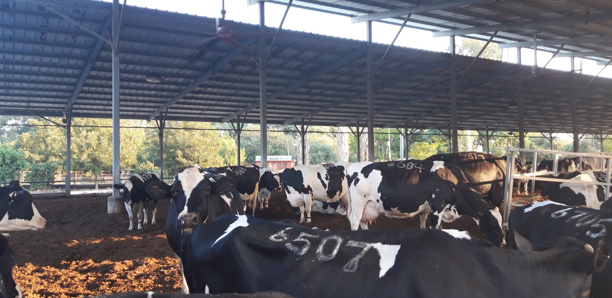 Patrick Spencer tweet media