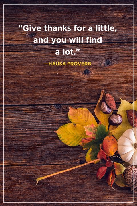 IaccOrlando's tweet photo. #TuesdayThoughts “Give thanks for a little, and you will find a lot.” -Hausa Proverb
#IACCOrlando #Thanksgiving #Family https://t.co/VlZZ9e0sdy