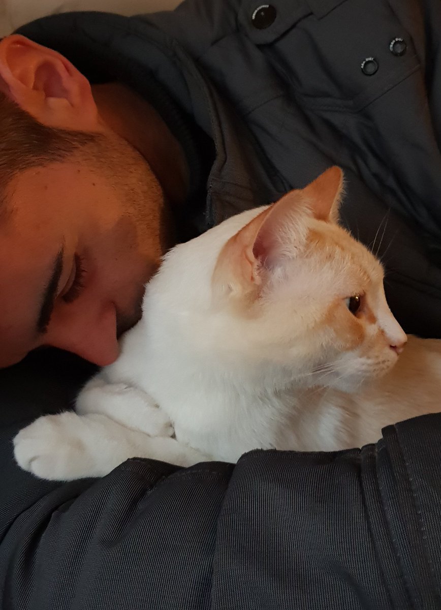 kris_1407's tweet photo. Mis niños😍
#love #lovecats
#bebotes #lesamo #oscomo #Inlove https://t.co/y77YIR14bS