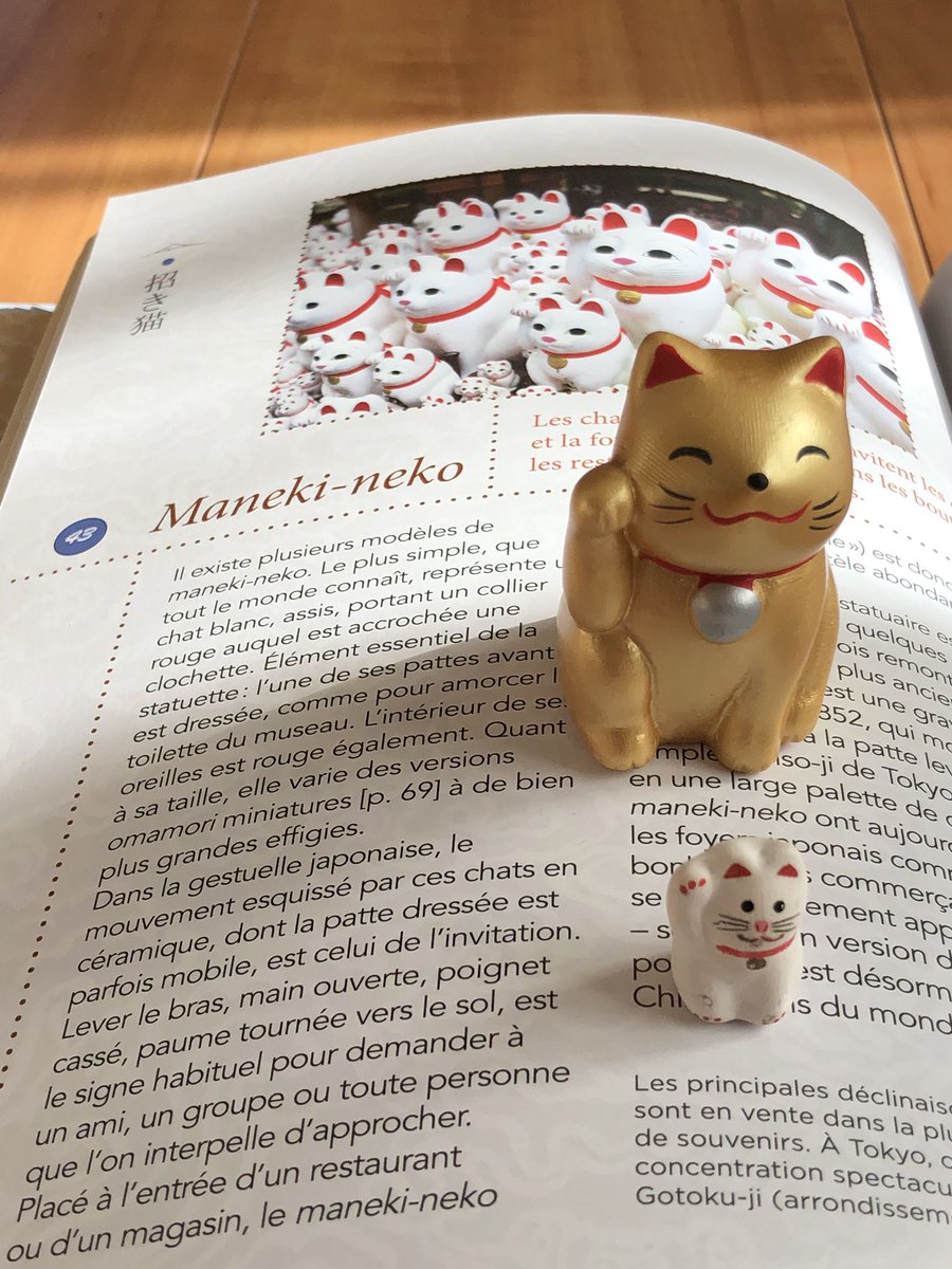 tokyovisite's tweet photo. #CONCOURS des 7000🎁
J’ai le plaisir de vous offrir le beau et très instructif livre « Les 100 objets du Japon » de @Nipp0n100 qui vient récemment de sortir🎉

Pour participer🔽
• RT + FOLLOW @tokyovisite 
• TAS le 25/11
• 1 gagnant
Bonne chance🍀 https://t.co/3Z50NJ60Yl
