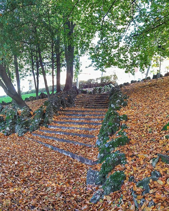 Ricette di Cultura (@alegiovanile) on Twitter photo Dicono che torni la pioggia...
Intanto ne ho approfittato per una passeggiata sulle foglie secche, che <a href="/monsubarachin/">Monsubarachin</a> mi aveva fatto venir voglia di autunno! 😂😂
.
.
.
#ricettedicultura #rdcgiringiro #Torino #autumnvibes🍁 #autumnlover #torinoèlamiacit… ift.tt/2NIfmrP Dicono che torni la pioggia...
Intanto ne ho approfittato per una passeggiata sulle foglie secche, che <a href="/monsubarachin/">Monsubarachin</a> mi aveva fatto venir voglia di autunno! 😂😂
.
.
.
#ricettedicultura #rdcgiringiro #Torino #autumnvibes🍁 #autumnlover #torinoèlamiacit… ift.tt/2NIfmrP