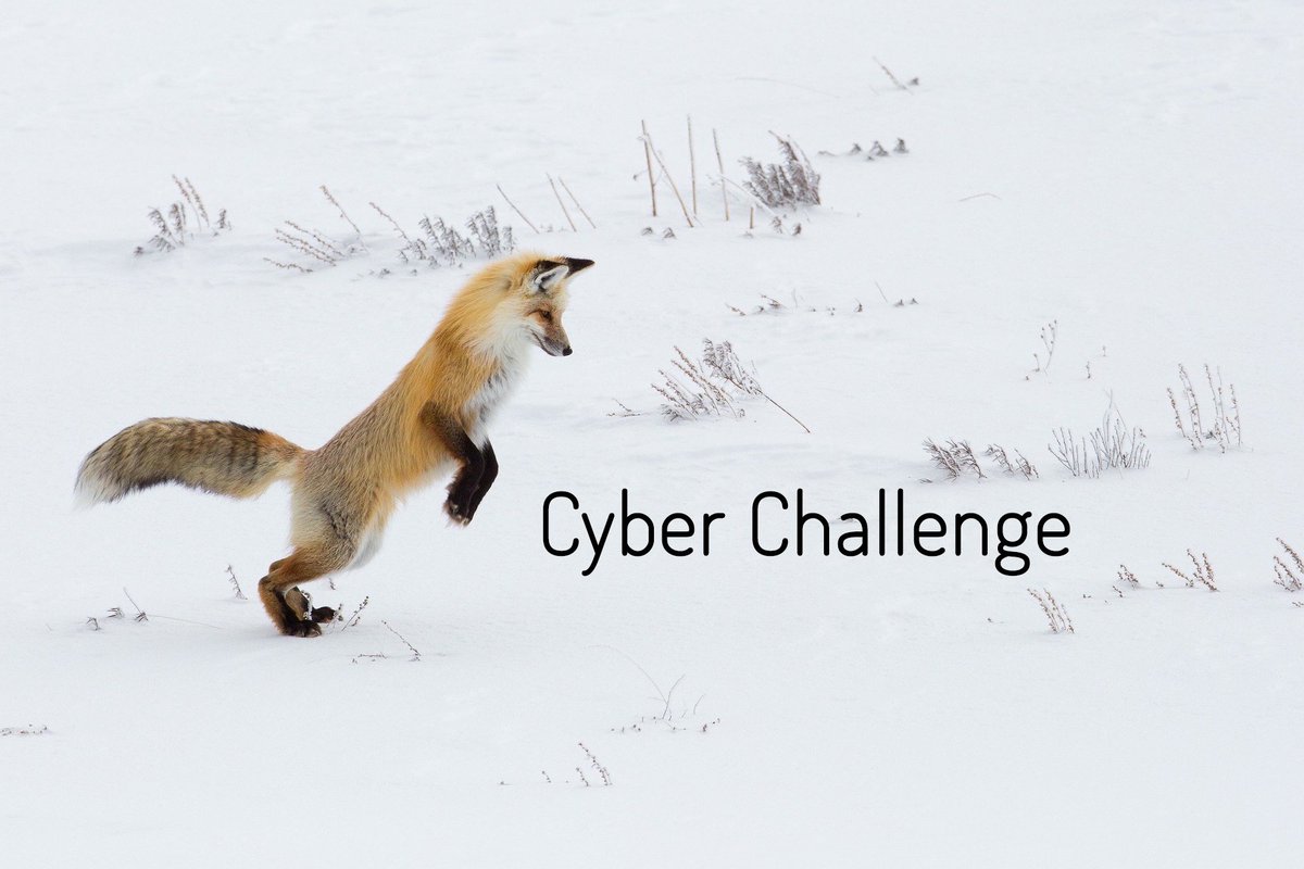 FoxtonForensics's tweet photo. Our first cyber puzzle challenge is now live! The first to complete the challenge will receive a free copy of Browser History Examiner Pro worth $525. Get your first clue at https://t.co/zy9EmWNCZB

Good luck!

#dfir #digitalforensics #infosec #ctf #catchtheflag https://t.co/XA42DWjLcD