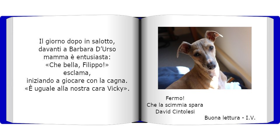 Buona_lettura tweet media