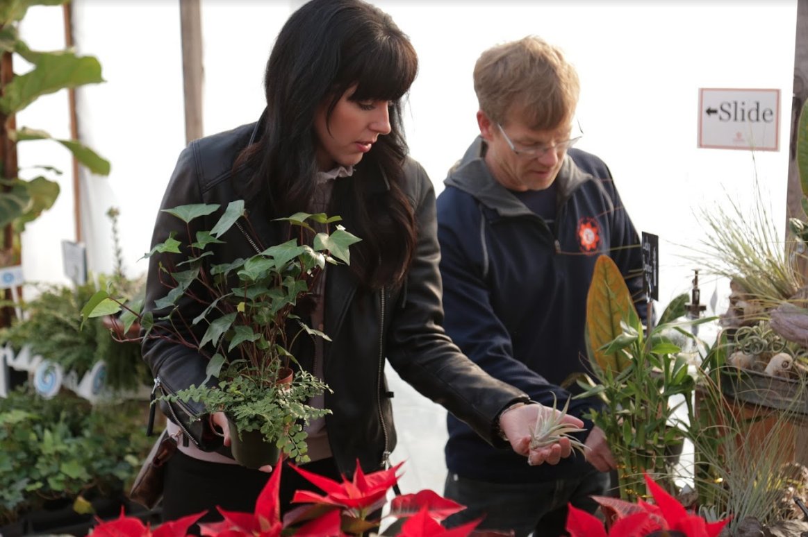 Warm Springs Productions tweet media