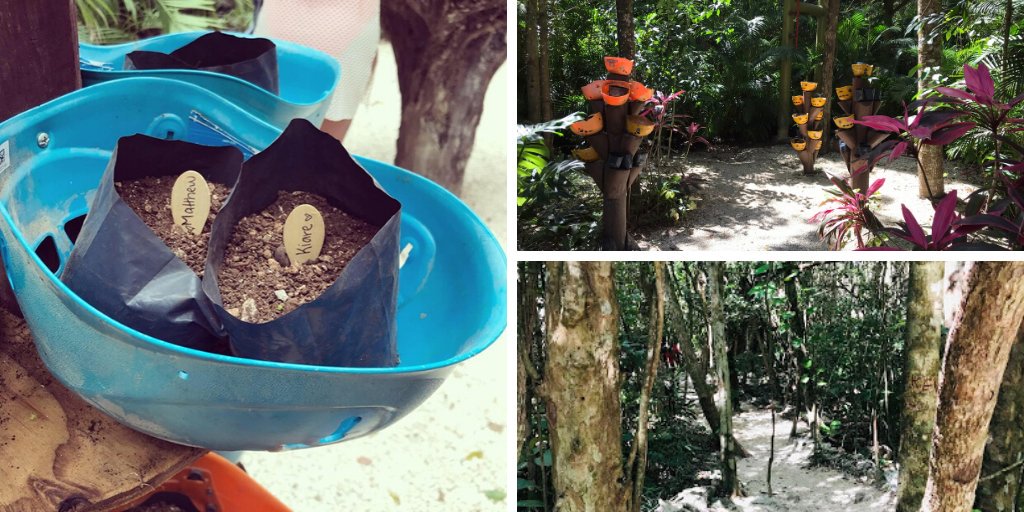 SelvaticaCancun's tweet photo. #TuesdayThoughts: When you're green, your growing: https://t.co/Gayjbfl2TH 💚🌱 https://t.co/1cXzxUPSGb