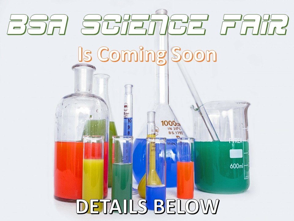 BufordSenior's tweet photo. BSA Science Fair is coming soon. Visit https://t.co/PTb2uGnLtB for information packets. You want to be part of this exciting process. #ScienceFair2019 https://t.co/tZjRG5sBEd