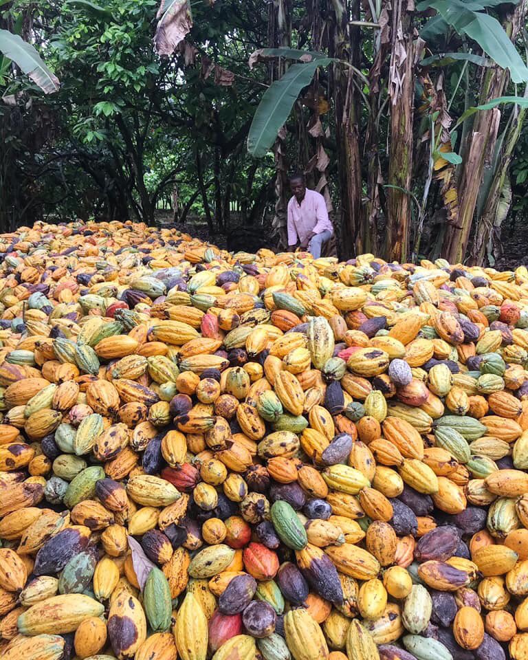 dvdasiamah's tweet photo. Fellow farmers, you don't owe anyone food; you owe yourself an income! Treat Agriculture as a business. You're not operating a charitable organization where you feed your friends &amp; relatives for free, unless that's what you want. https://t.co/EJPC8SWsjP