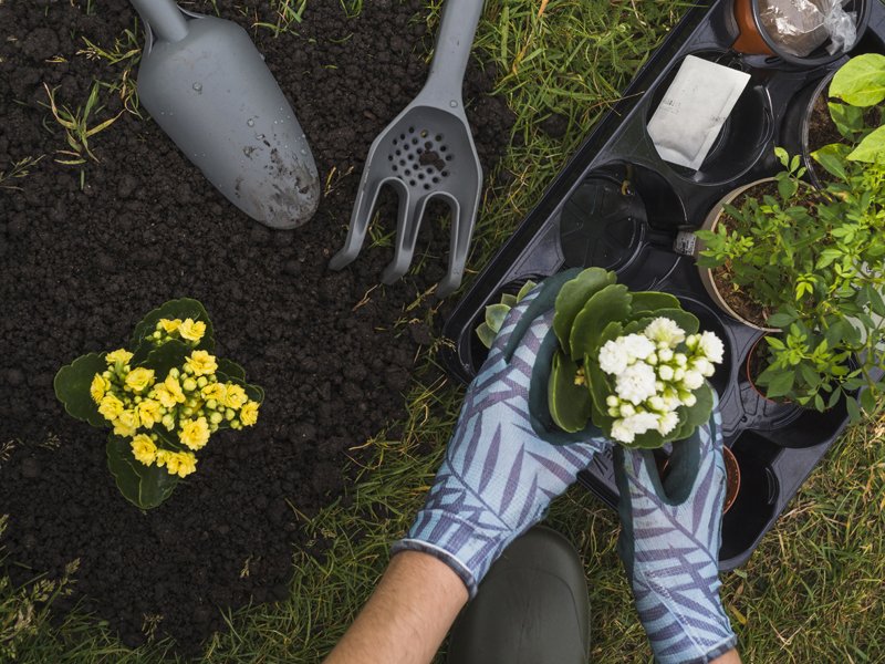 Launch of Gardening Club at <a href="/fountain_garden/">⛲Friends Of Fountain Gardens🌳 | Paisley, Scotland</a> !
Meet at the Fountain Mon 11th Nov between 11.30am – 12 noon.
Register your interest in digging and planting in the 22 flower beds at the Fountain Gardens.
Weekly gardening sessions planned for 2020.
Call or text 0753 127 4865