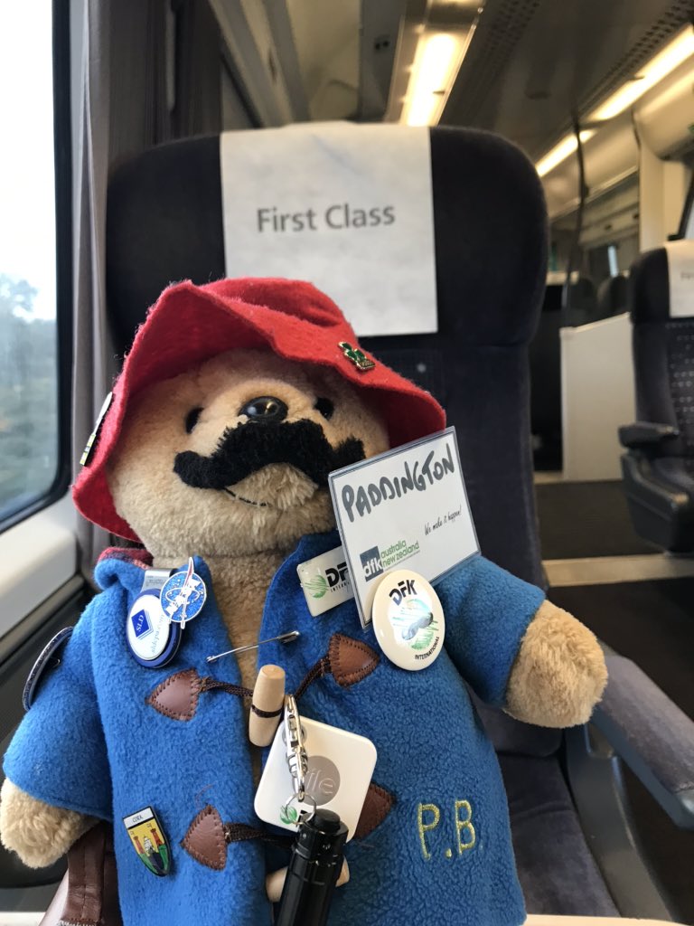 Traveling to Budapest for the DFK Eastern European Members’ Meeting. One could get used to this 🐻#dfkmascot Paddington Bear