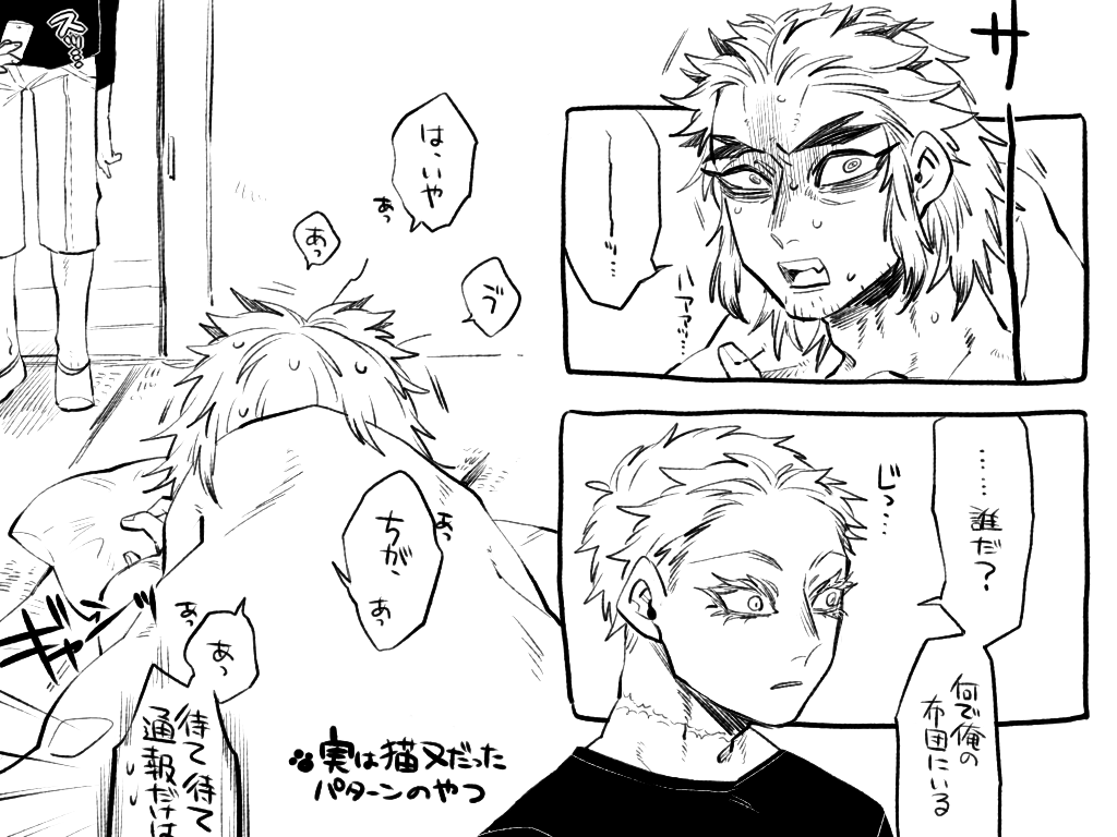 【あかしん/おじにゃんが猫又だった場合】 
