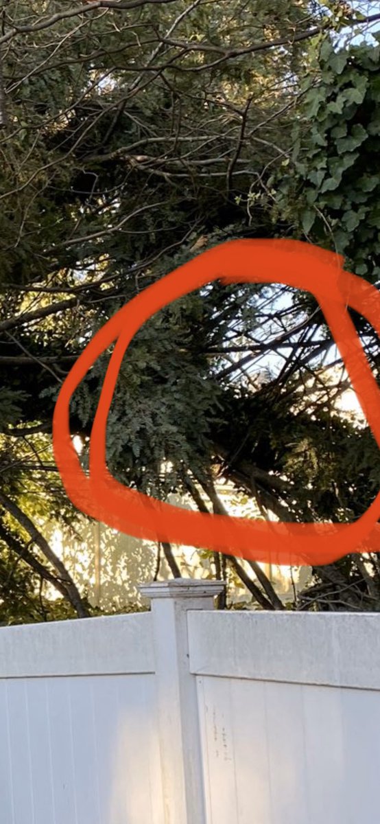 Eag7109's tweet photo. @verizon tree on your wires can you please come remove it before your lines snap and we have no phone/cable/internet https://t.co/SNtmI584Nj