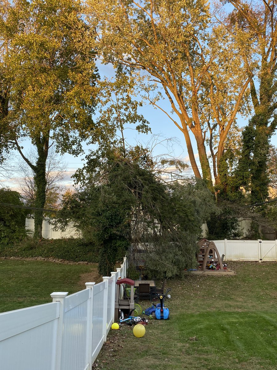Eag7109's tweet photo. @verizon tree on your wires can you please come remove it before your lines snap and we have no phone/cable/internet https://t.co/SNtmI584Nj
