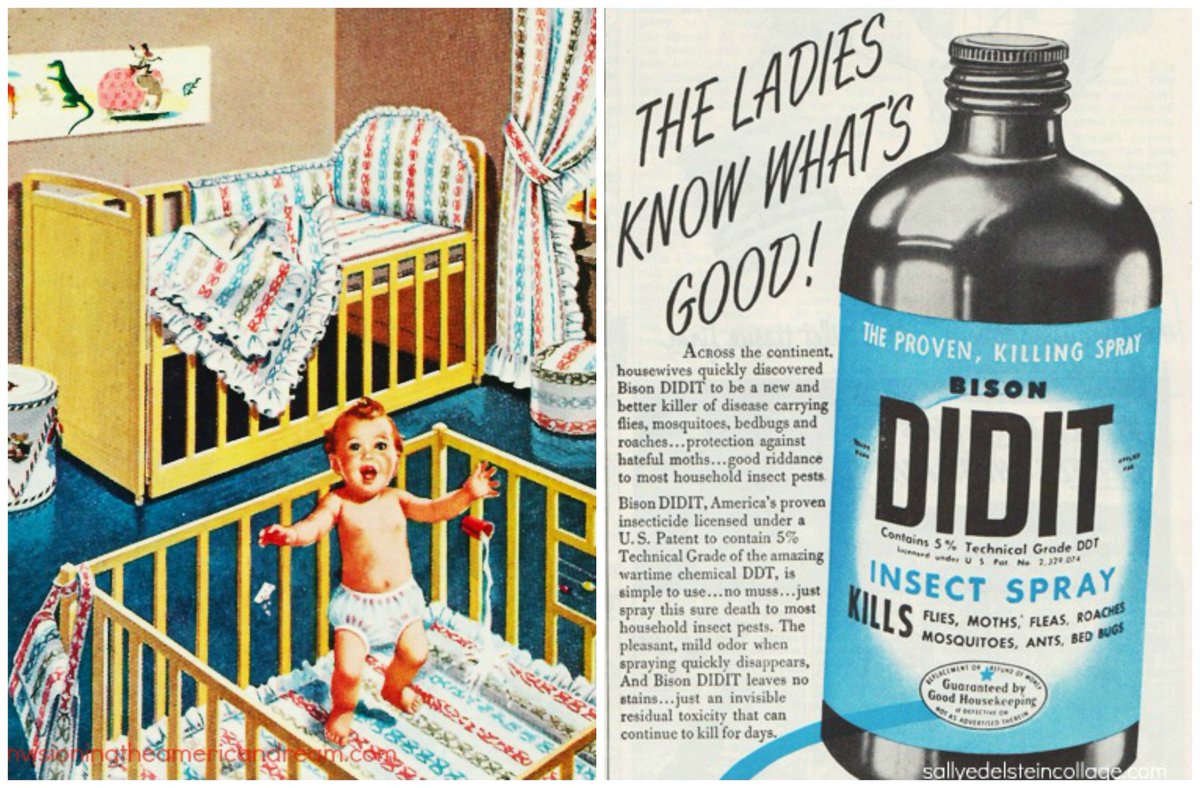 The symptoms of DDT poisoning are the same as polio. How could they tell the difference? Was it just called Polio? (Check out these DDT adds ☟)