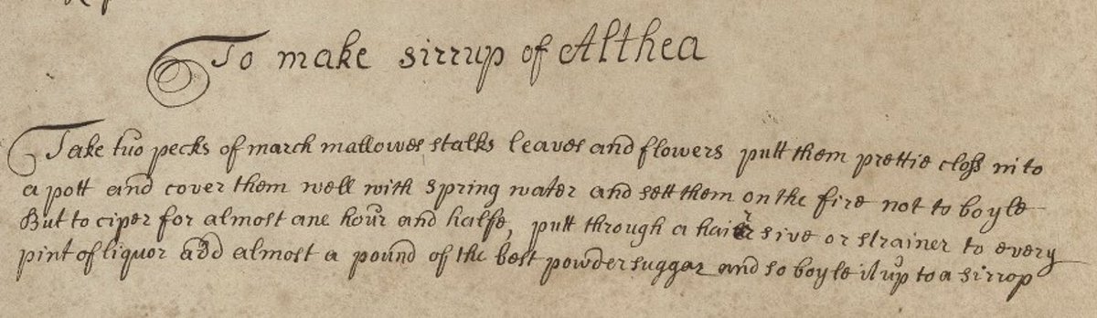 HistoryElaine's tweet photo. I'm still on the same page (sigh) - the final recipe - to make syrup of Althea - suggests that we use a "hair sive or strainer" #emroctranscribes #MaterialHealthTech #AnimalProducts. This is Folger v.b. 400 page 16 https://t.co/6PT6JcxIgw https://t.co/Fy92PP9HEw