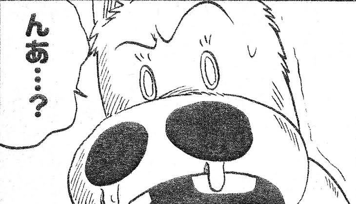 アルベロベッロ على تويتر チ コが 馬並みなのねー