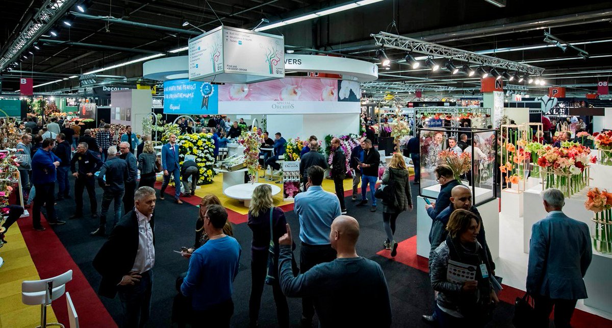 SenZaro ‘THE BLOOMING COMPANY’ tweet media