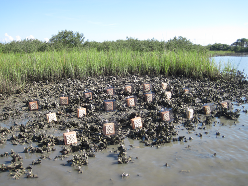 ESA Bulletin tweet media