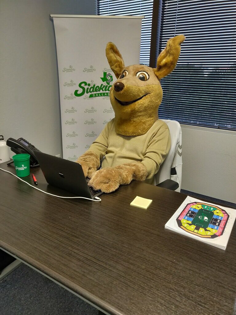 KickTheKangaroo's tweet photo. Makin calls, sendin emails...

is it game day yet, mate?! #BuiltGreen #KickTheKangaroo https://t.co/T6hPIBm3UI