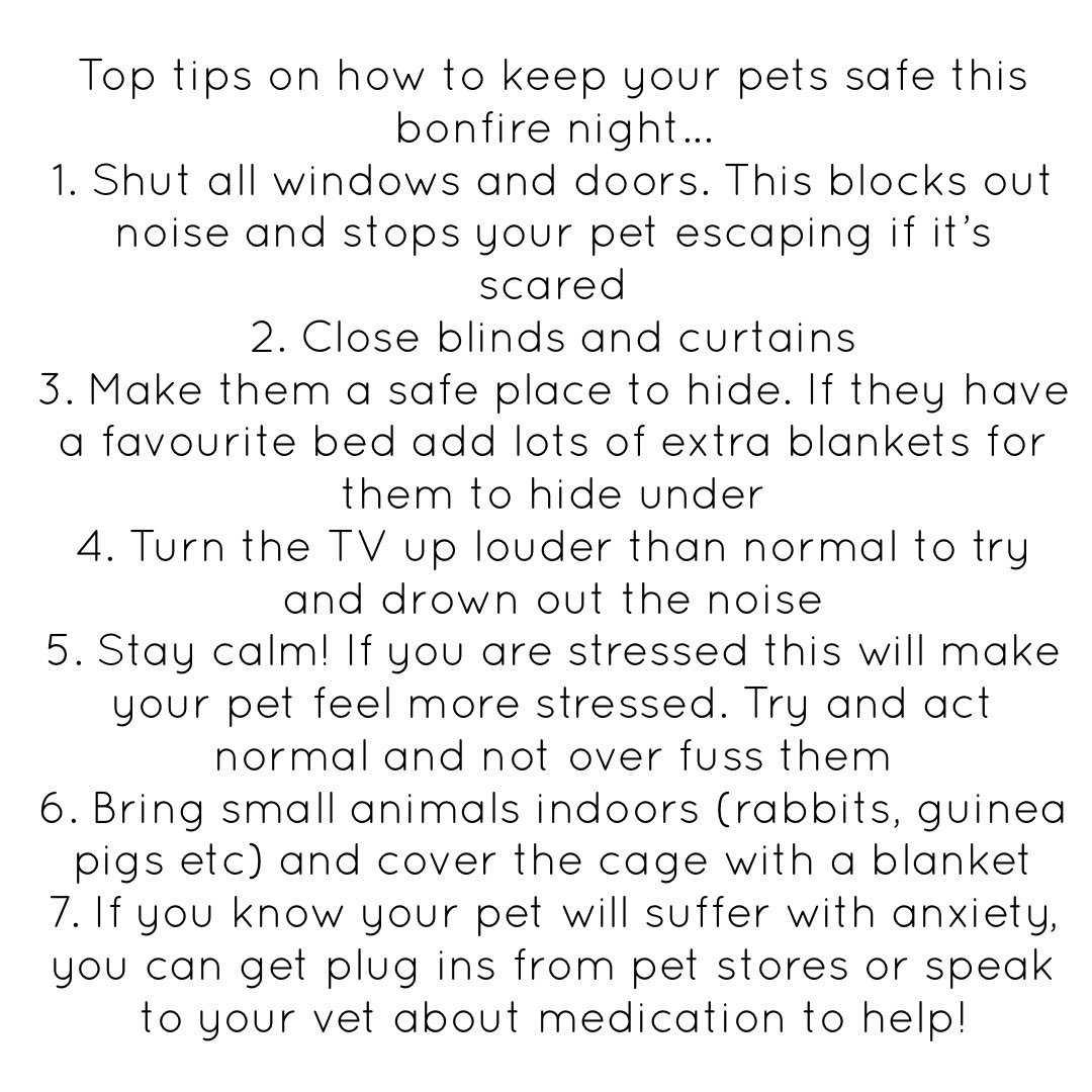 We hope everyone has a fun and safe bonfire night but please remember this can be a very scary time for animals! We have some tips on how to keep your pets calm and safe 💕