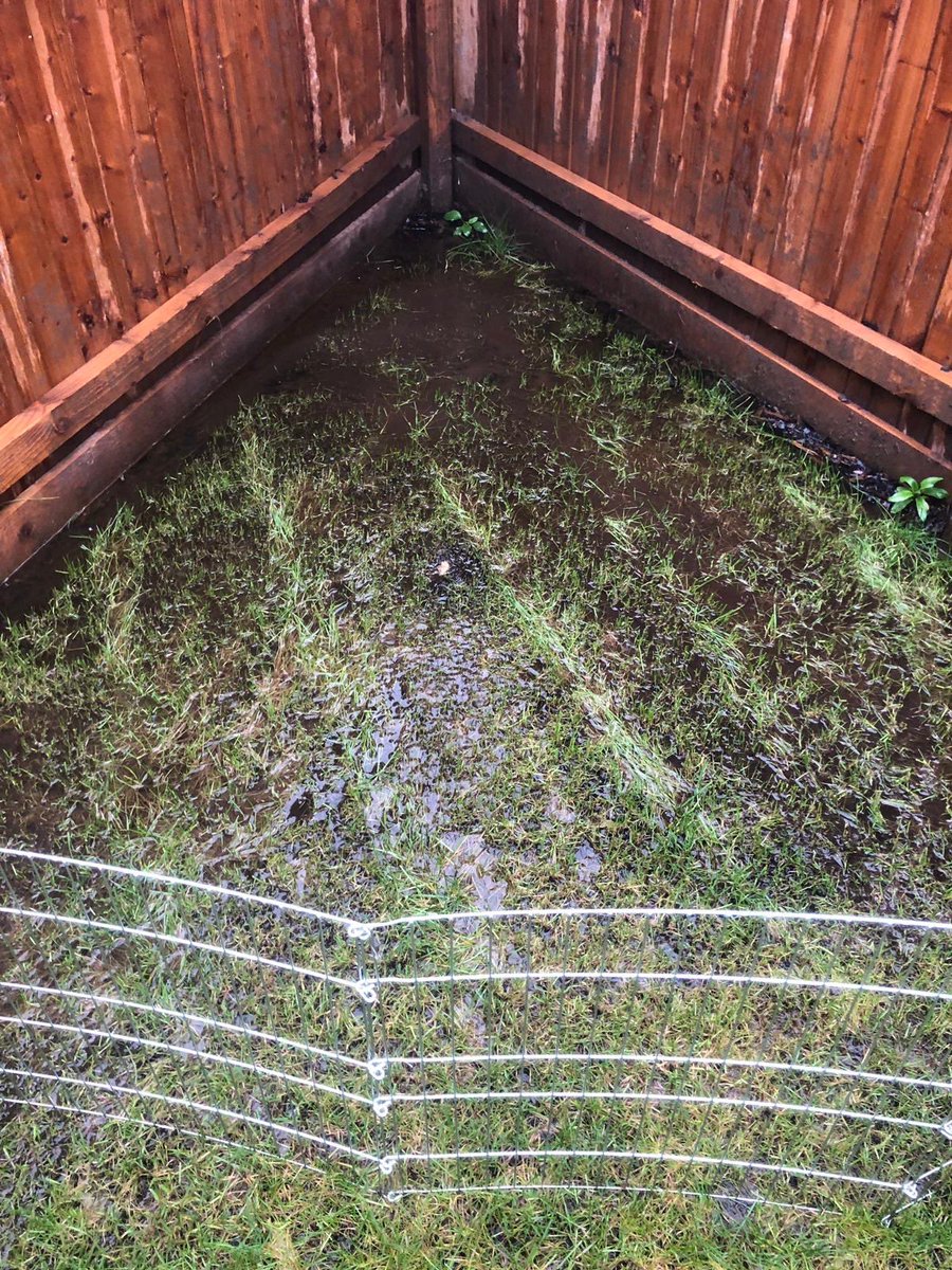 stebowe's tweet photo. @CountrysideProp my unusable garden from Countryside Properties...and they refuse to fix it! #dontbuyfromcountryside #cowboybuilder https://t.co/qfU7FalVs4