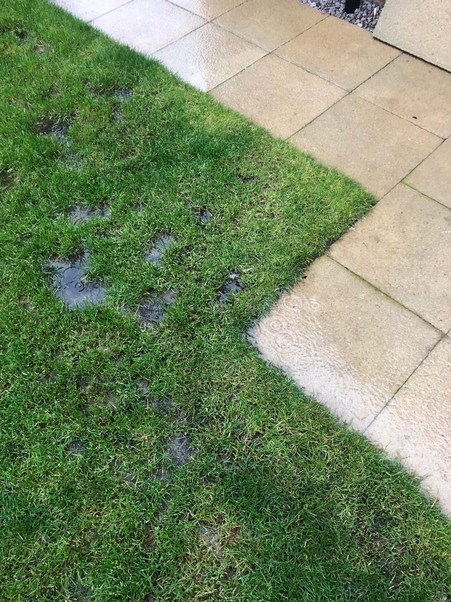 stebowe's tweet photo. @CountrysideProp my unusable garden from Countryside Properties...and they refuse to fix it! #dontbuyfromcountryside #cowboybuilder https://t.co/qfU7FalVs4