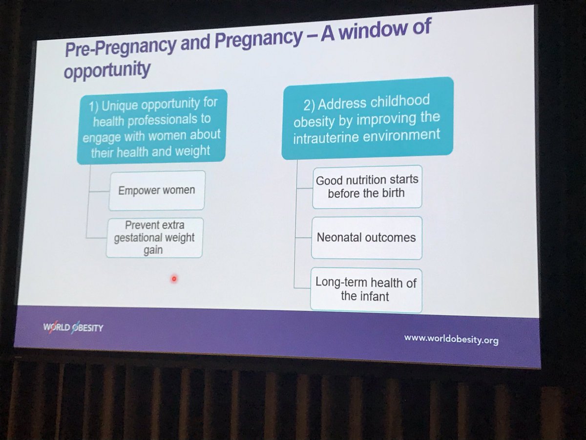 Call to action for maternity care providers, including pre-pregnancy and prenatal care <a href="/WorldObesity/">World Obesity</a>