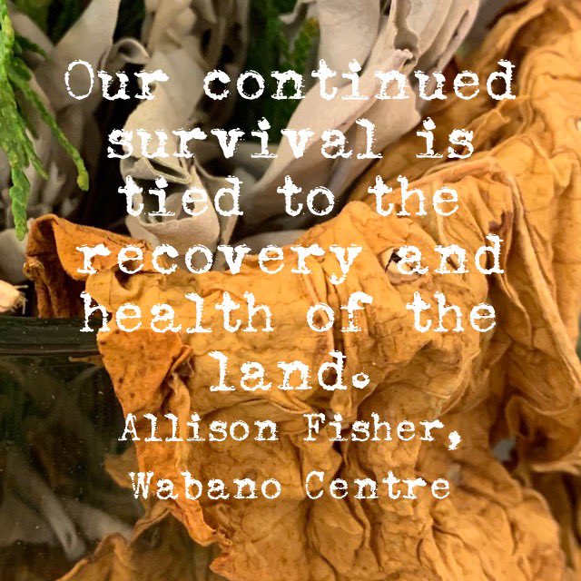 Honoured to be attending the Wabano Symposium. Much wisdom has already been shared and we’ve only just begun. #landismedicine #indigenousteaching #everythingisconnected <a href="/publicjustice/">Citizens for Public Justice</a> <a href="/WabanoHealth/">Wabano Centre</a>