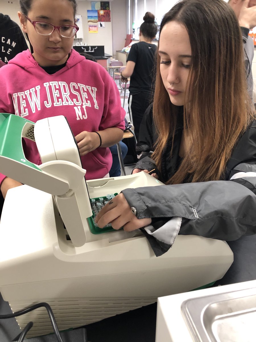 Carol Ann Silvestri tweet media