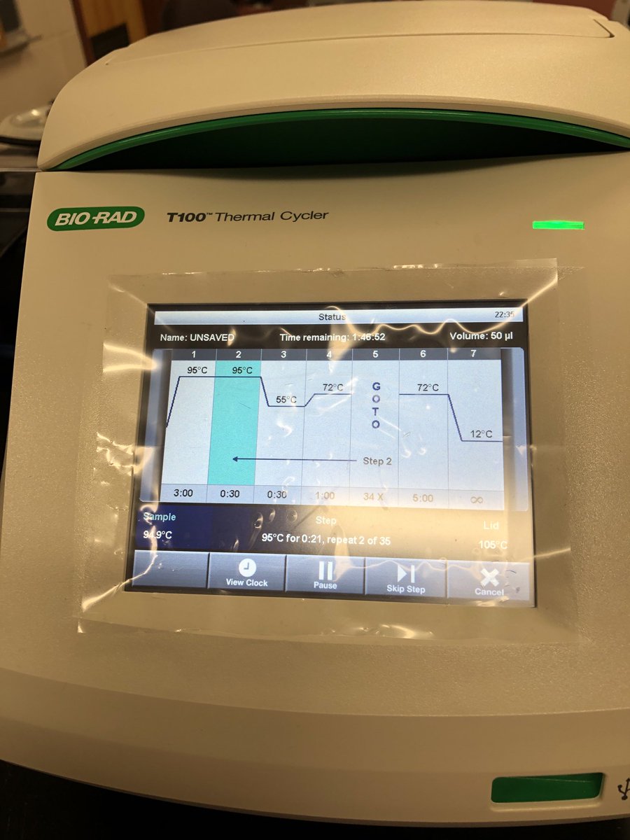 Carol Ann Silvestri tweet media