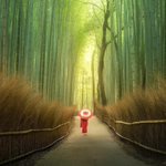 Photo by MeTheNature (@MeTheNature)