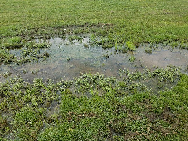 Averett Septic Tank tweet media