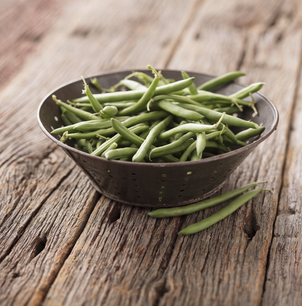 freshfromFL's tweet photo. Florida snap beans are in season! What's your favorite way to enjoy them? https://t.co/PzYV5j9F8F
#freshfromflorida #freshfromfl #florida #snapbeans #inseason #recipes #beans #cooking https://t.co/GKj7D0HAzh
