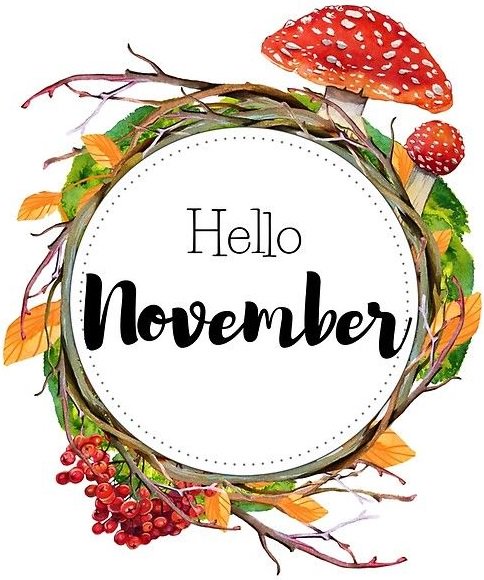 AlishaValerie's tweet photo. ⭐ HELLO NOVEMBER ⭐
https://t.co/dLTf1jlIHv
@allthoseblogs #bloggershutrt #theclqrt #usblogchat #littleblogrt #sbbchat #influencerrt #bloggerspact #babbleblogs #lbloggers #beechat #teacupclub #thegirlgang #livbloggers #gwbchat #fiercebloggers #wedmidbloggers https://t.co/fdi3eLgeht