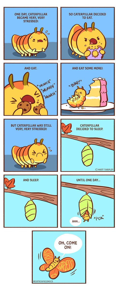 The very, very stressed Caterpillar 🐛 