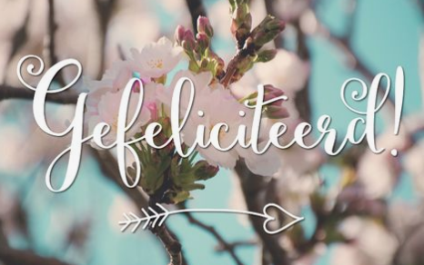 Het Buikencollectief tweet media