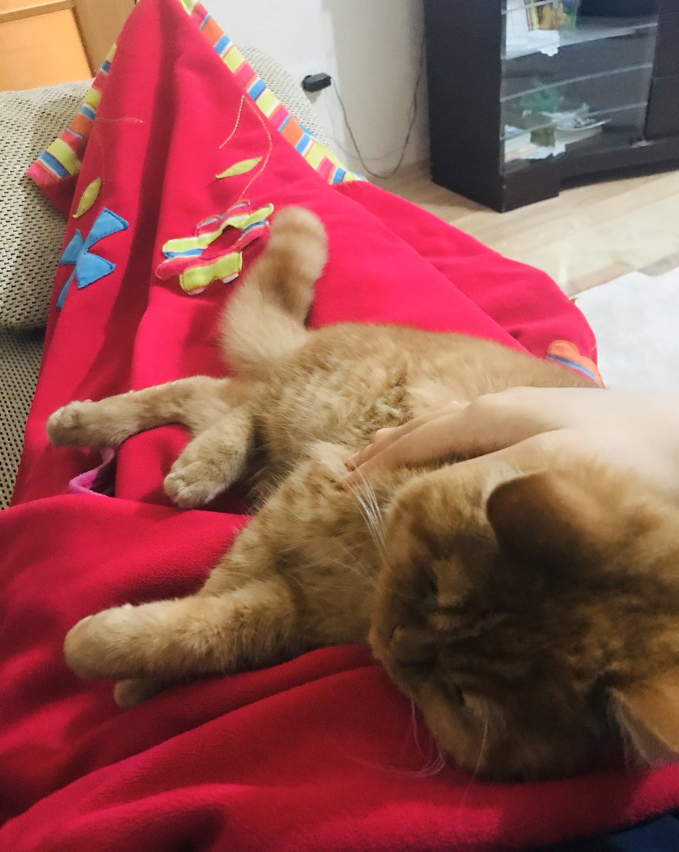 Yorgun olan ben keyif yapan Karamel paşa😓