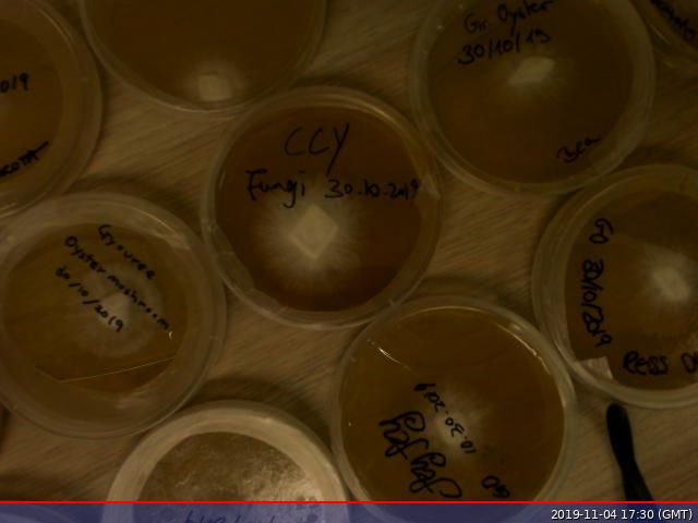 Open Cell London tweet media