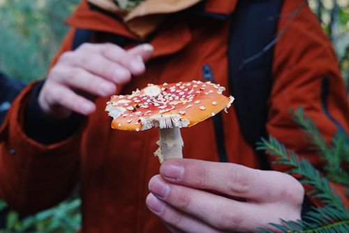 Open Cell London tweet media