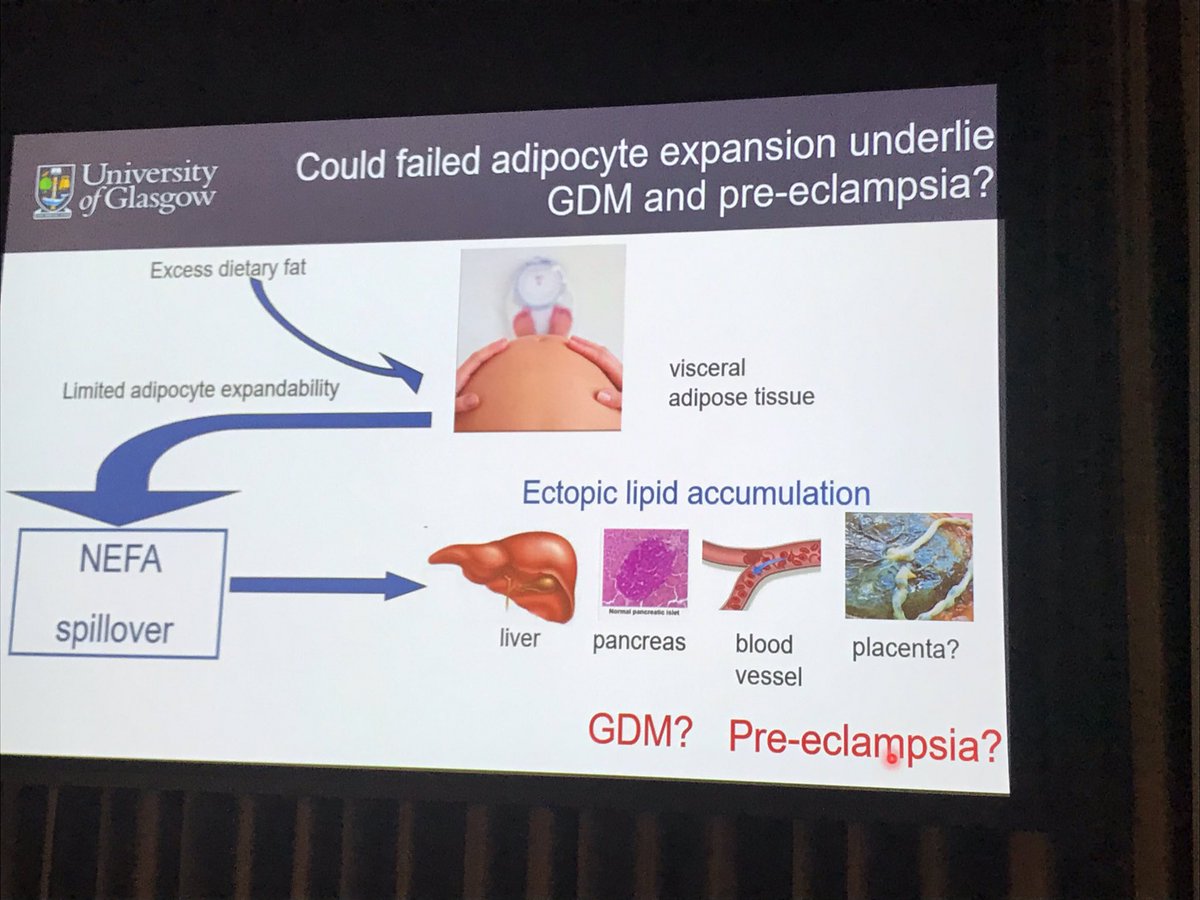 Hmmmmm... #FocusOnFat #BiochemEvent