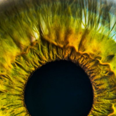 1eye_media's tweet photo. #NewProfilePic https://t.co/0B7KUVlH8X