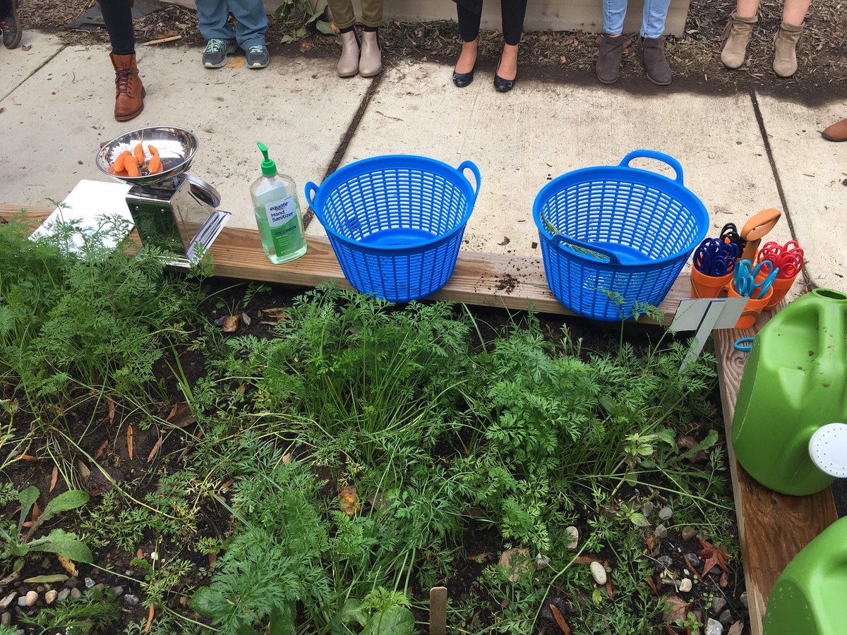 fcpsGet2Green's tweet photo. Teachers learning best practices and protocol for #FCPSGardentoCafeteria  and working with Ss in gardens @FCPSEnergyZone @JessBuchanan18 https://t.co/4qvbzGP1Fd