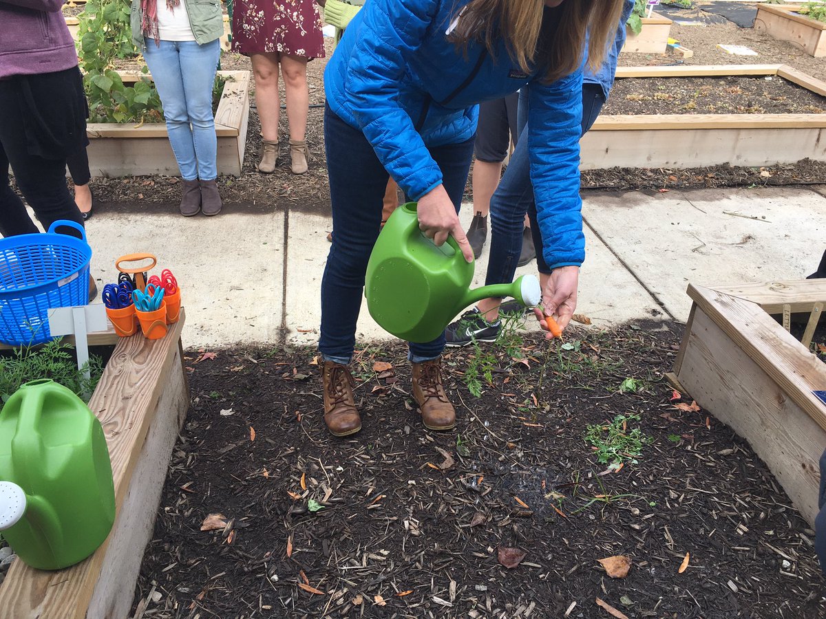 fcpsGet2Green's tweet photo. Teachers learning best practices and protocol for #FCPSGardentoCafeteria  and working with Ss in gardens @FCPSEnergyZone @JessBuchanan18 https://t.co/4qvbzGP1Fd