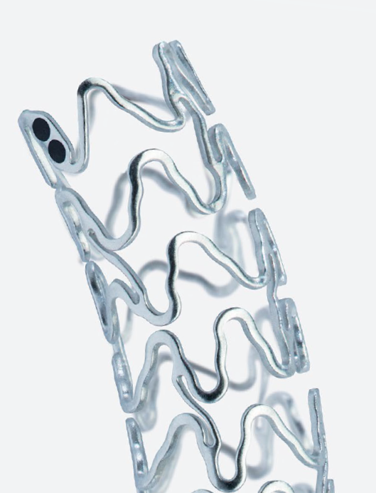 Biotronik_UK's tweet photo. Still wondering about the data surrounding resorbable stents? Head to https://t.co/p4i9bNVJ3i to read more, including the latest data from #BIOSOLVE registries presented at @TCTConference
#Magmaris #BIOTRONIKinnovation #stent #RCT https://t.co/8nAUqPfO21