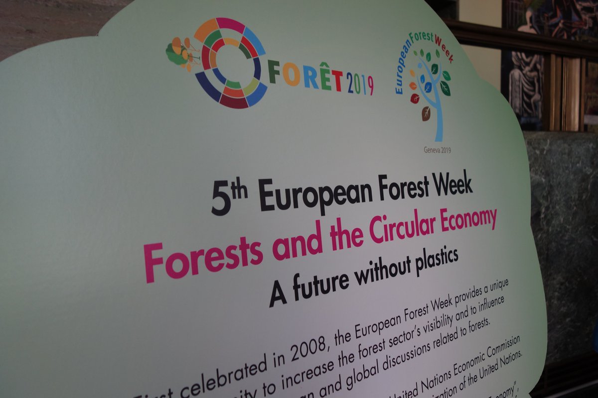 PEFC International (@pefc) on Twitter photo It was fantastic to be at <a href="/UNGeneva/">United Nations Geneva</a> yesterday for the opening of the forests and #circulareconomy exhibition. We also teamed up with <a href="/HuhtamakiGroup/">Huhtamaki</a> and <a href="/Piveteaubois/">Piveteaubois</a> to bring some exciting and innovative forest-based materials to the halls of the UN! treee.es/efw19 It was fantastic to be at <a href="/UNGeneva/">United Nations Geneva</a> yesterday for the opening of the forests and #circulareconomy exhibition. We also teamed up with <a href="/HuhtamakiGroup/">Huhtamaki</a> and <a href="/Piveteaubois/">Piveteaubois</a> to bring some exciting and innovative forest-based materials to the halls of the UN! treee.es/efw19