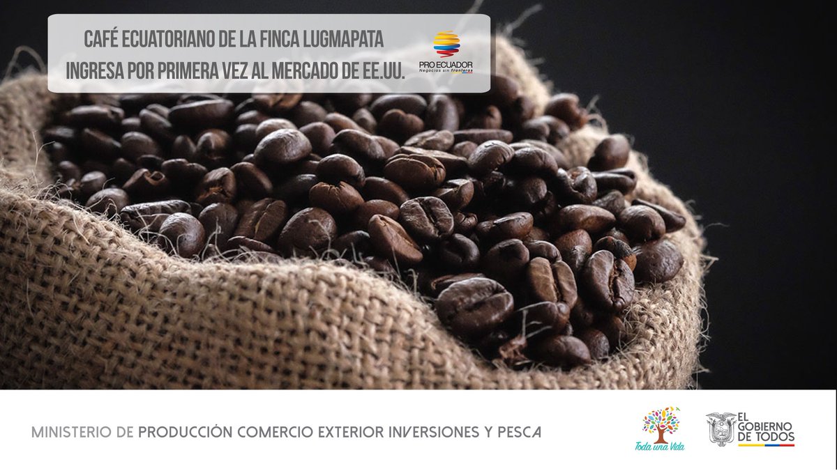 PRO ECUADOR North America (@proecuadornoram) on Twitter photo 🔴#CasoDeÉxito2019|Gracias a la gestión del MPCEIP a través de su OCE <a href="/proecuadornoram/">PRO ECUADOR North America</a> en Chicago, el café de la finca Lugmapata de la productora Rocío Merino, participante de la XIII edición de Taza Dorada Arábiga realizó su primera exportación de café de variedad "Sidra" a EEUU 🔴#CasoDeÉxito2019|Gracias a la gestión del MPCEIP a través de su OCE <a href="/proecuadornoram/">PRO ECUADOR North America</a> en Chicago, el café de la finca Lugmapata de la productora Rocío Merino, participante de la XIII edición de Taza Dorada Arábiga realizó su primera exportación de café de variedad "Sidra" a EEUU