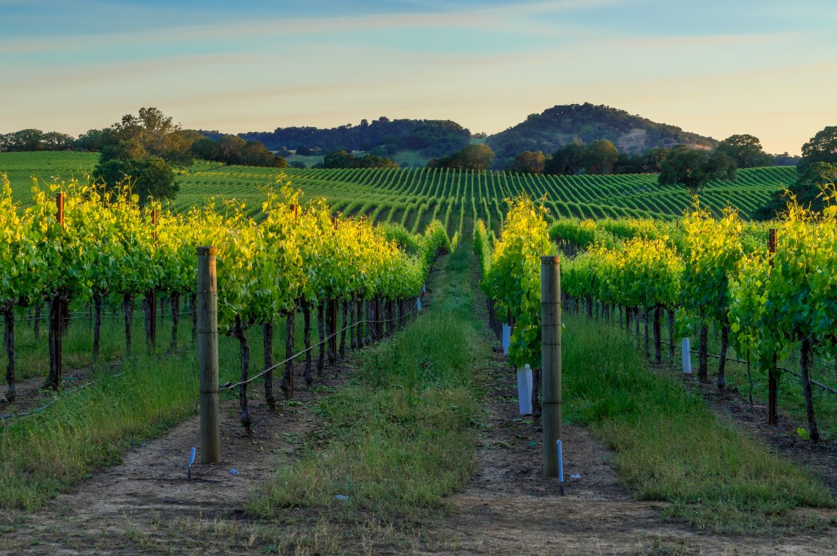 BeaconFogHorn's tweet photo. Getting ready for our Sonoma Roundtable!
@Albridge @Broadridge @docupace @eMoneyAdvisor @entreda @iPipeline @MoneyGuidePro @orionadvisor @RBC @RedtailCRM @GetRiskPro @SycamoreCompany @Vestmark
#BeaconRoundtable #Sonoma https://t.co/uXANiCuIip