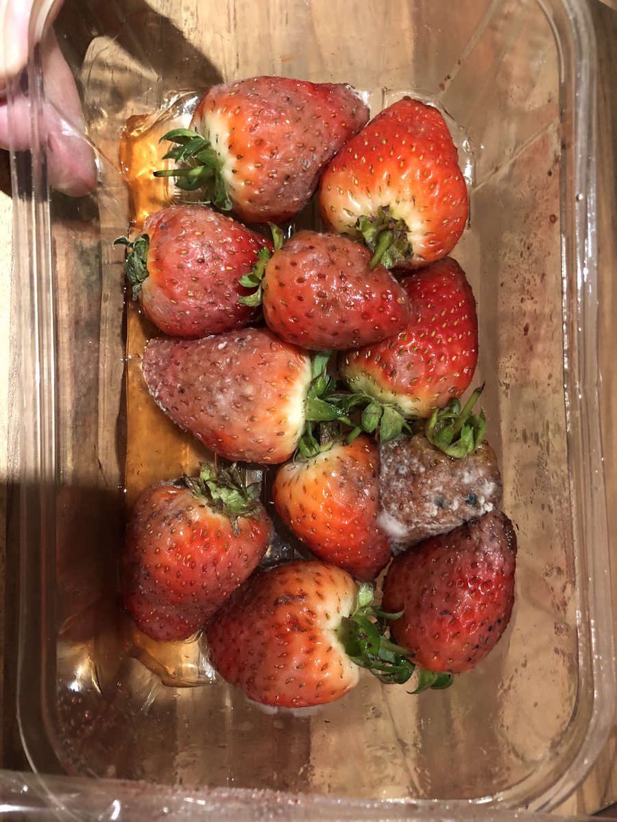 hrcooke's tweet photo. @LidlGB Very disappointed with the appalling quality of these ‘fresh’ strawberries bought in Lidl Newbury store on Saturday afternoon. How can they look like this by Tuesday? https://t.co/22psrdJcEd