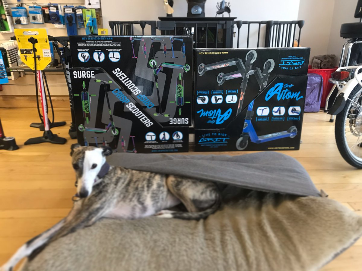 They're here and Willows on guard.

Our delivery of #Scooters have arrived. We've got <a href="/GRITscooters/">GRITscooters</a> and <a href="/CrispscooterUK/">CrispScootersUK</a> to choose from. 
Available in-store or to Click&amp;Collect.

More Scooters available to order.  

Take a look: arragons.com/scooters