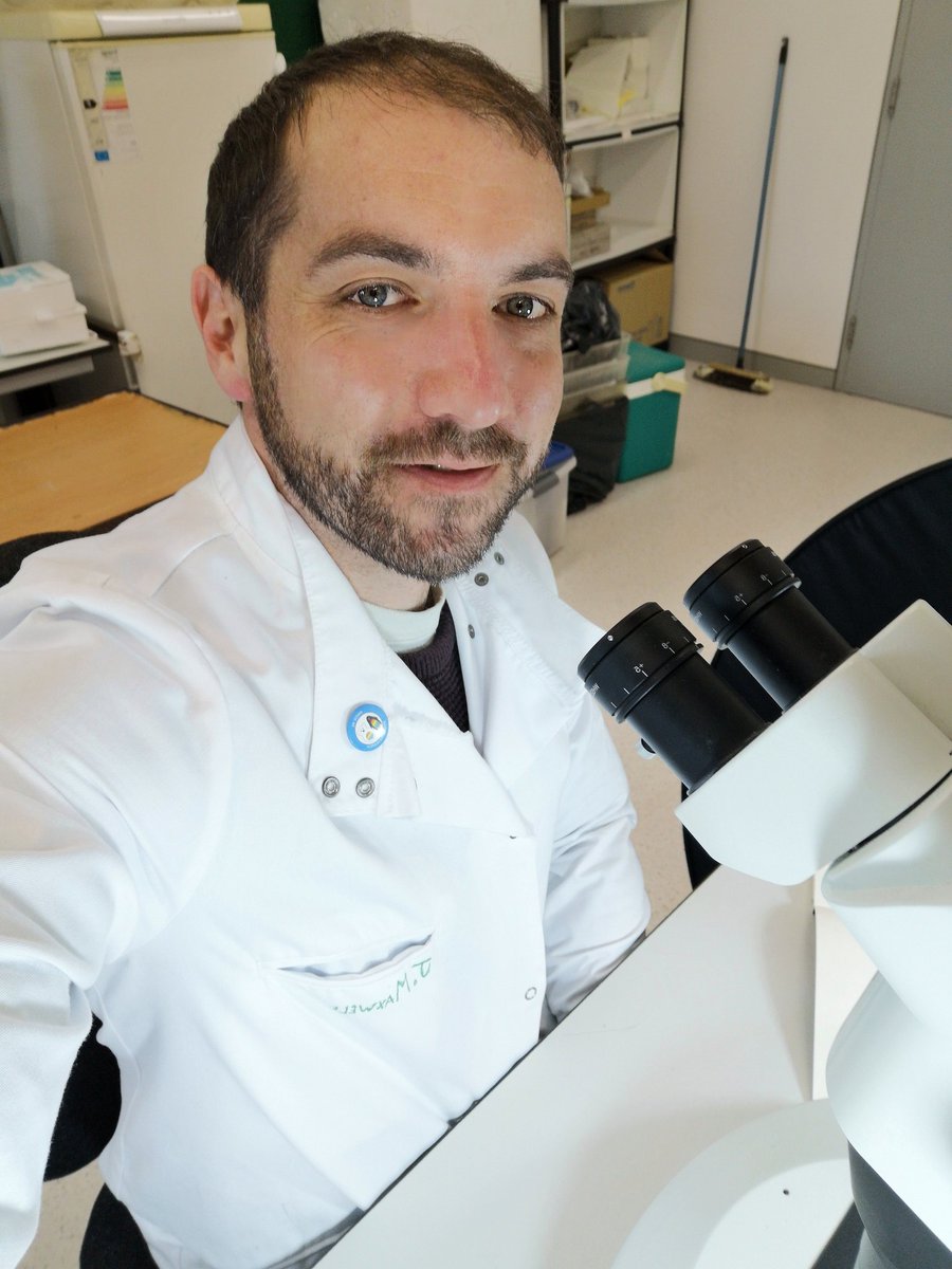 Pycnogonida Hashtag On Twitter