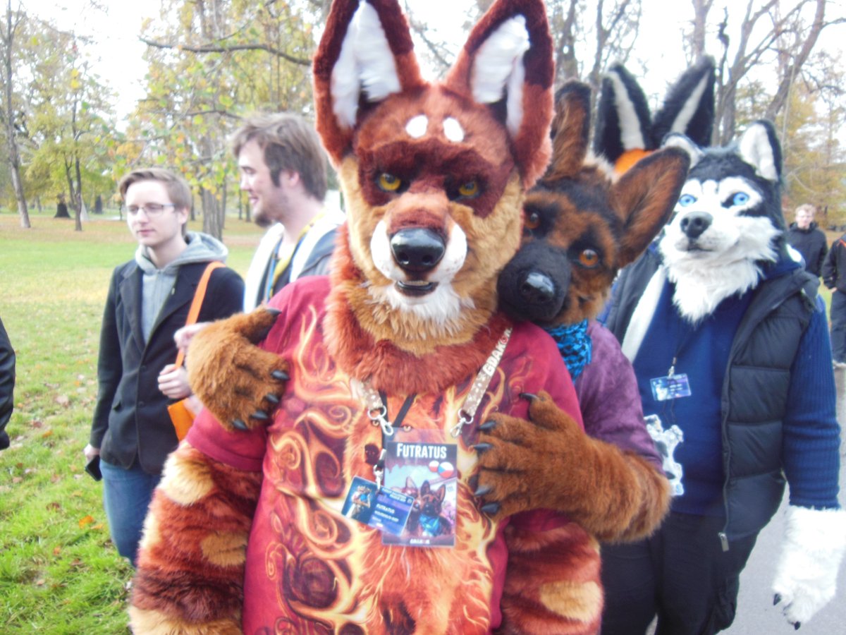 Futratus Pospolitus🐾❤️ 🔜🇩🇪SSFD, East 12/13 (@futratus) on Twitter photo Arf Arf Awoo 😋😊
Pic from the Fursuit Halloween Prague 2019 with my ❤<a href="/CodyShepherdCZ/">Cody Shepherd 🐾💗</a>
📸:BlackDragonCZ Arf Arf Awoo 😋😊
Pic from the Fursuit Halloween Prague 2019 with my ❤<a href="/CodyShepherdCZ/">Cody Shepherd 🐾💗</a>
📸:BlackDragonCZ